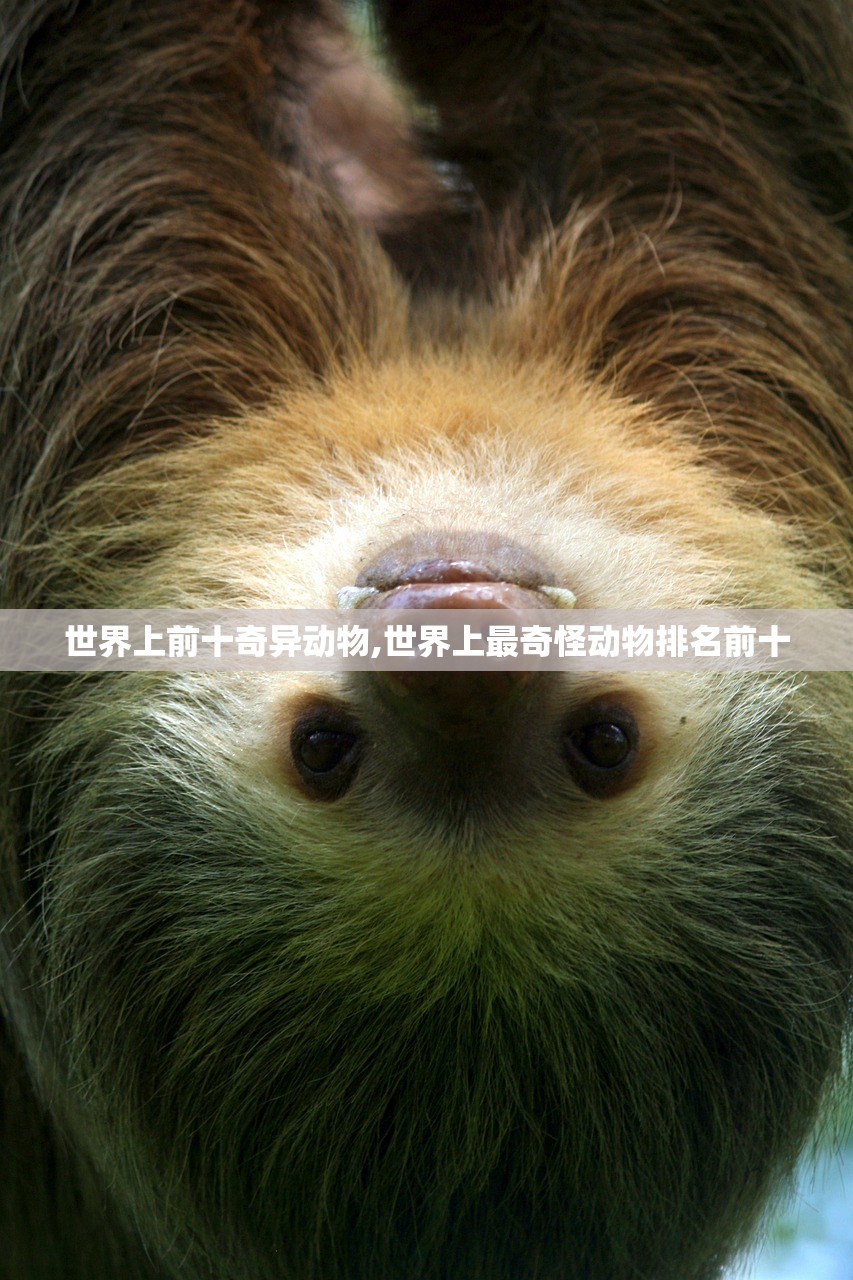 世界上前十奇异动物,世界上最奇怪动物排名前十