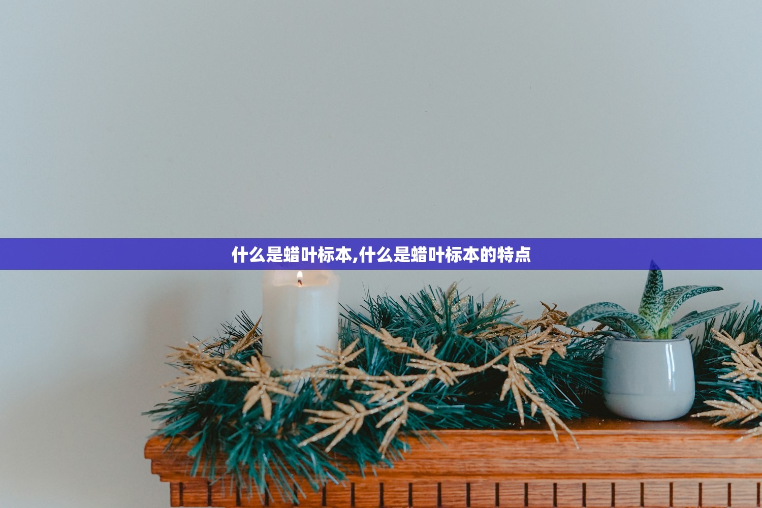 什么是蜡叶标本,什么是蜡叶标本的特点