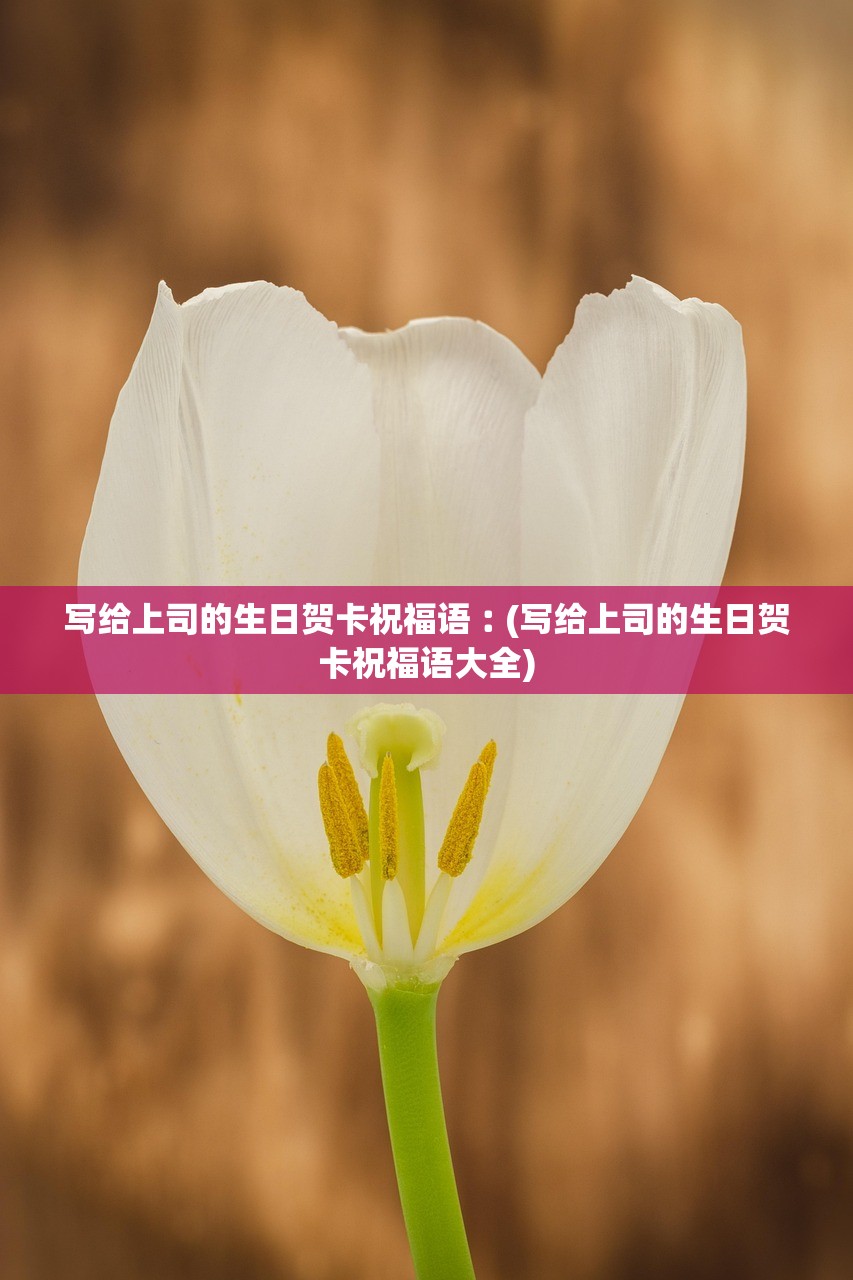 写给上司的生日贺卡祝福语︰(写给上司的生日贺卡祝福语大全)