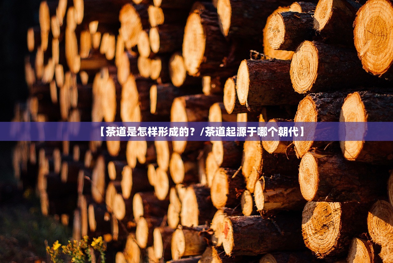 【茶道是怎样形成的？/茶道起源于哪个朝代】