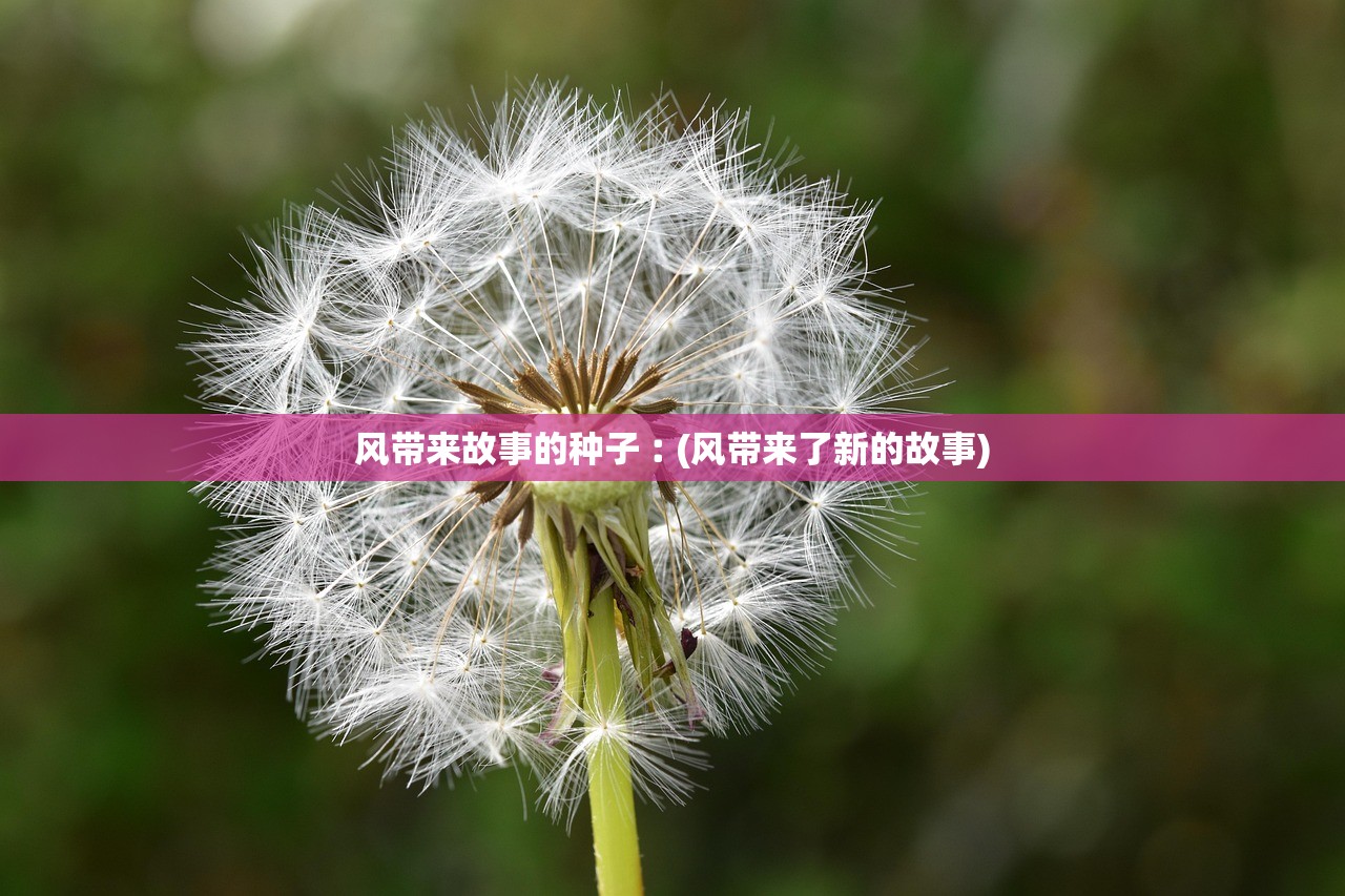 风带来故事的种子︰(风带来了新的故事)