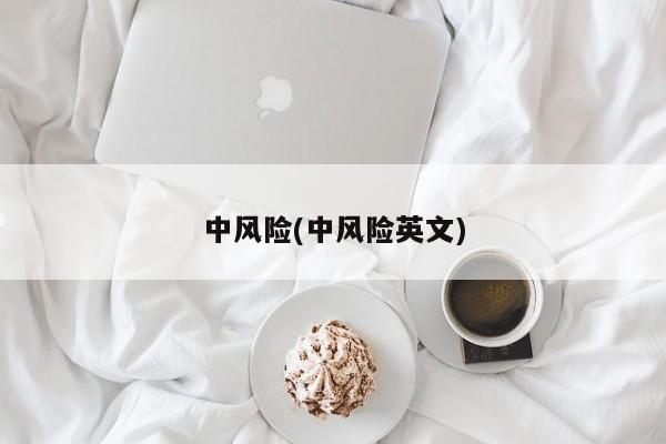 中风险(中风险英文)