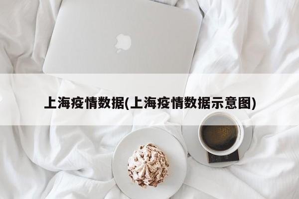 上海疫情数据(上海疫情数据示意图)