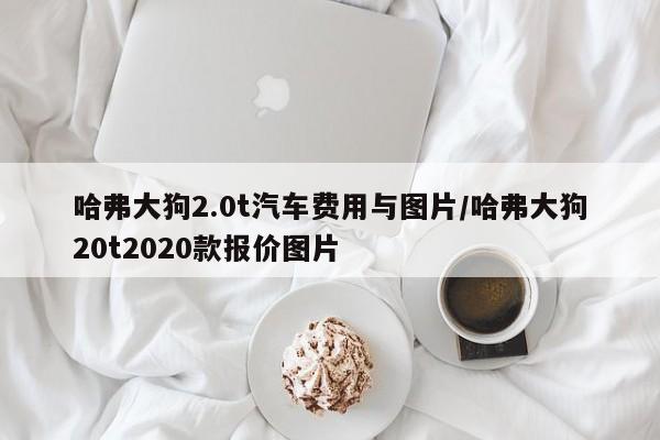 哈弗大狗2.0t汽车费用与图片/哈弗大狗20t2020款报价图片