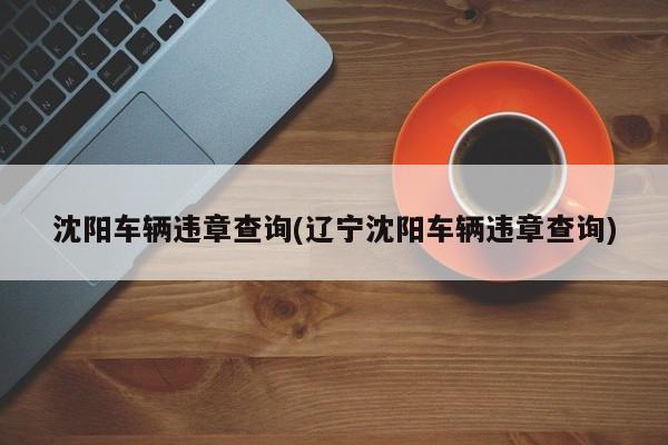 沈阳车辆违章查询(辽宁沈阳车辆违章查询)