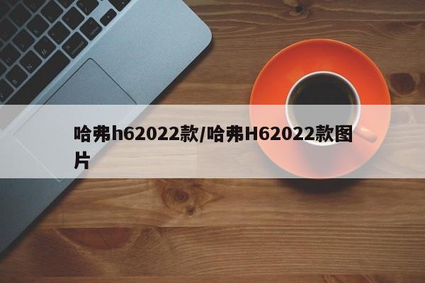 哈弗h62022款/哈弗H62022款图片