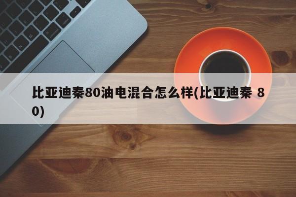 比亚迪秦80油电混合怎么样(比亚迪秦 80)