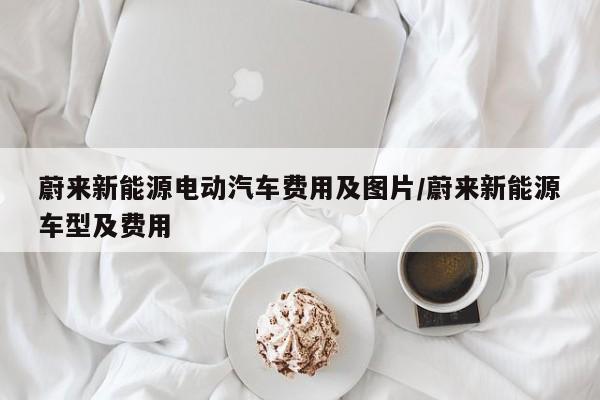 蔚来新能源电动汽车费用及图片/蔚来新能源车型及费用