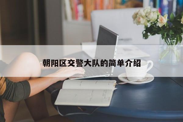朝阳区交警大队的简单介绍