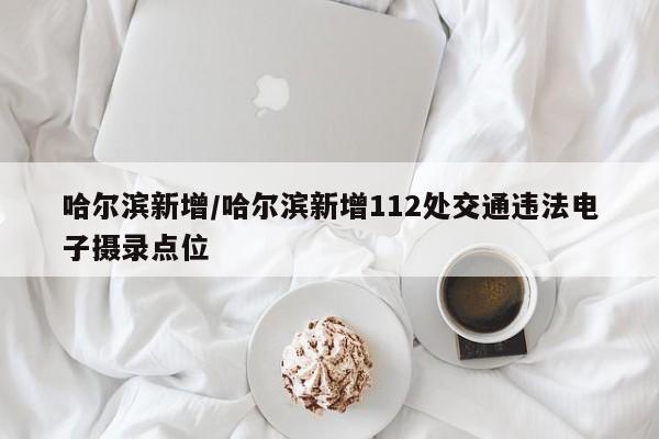 哈尔滨新增/哈尔滨新增112处交通违法电子摄录点位